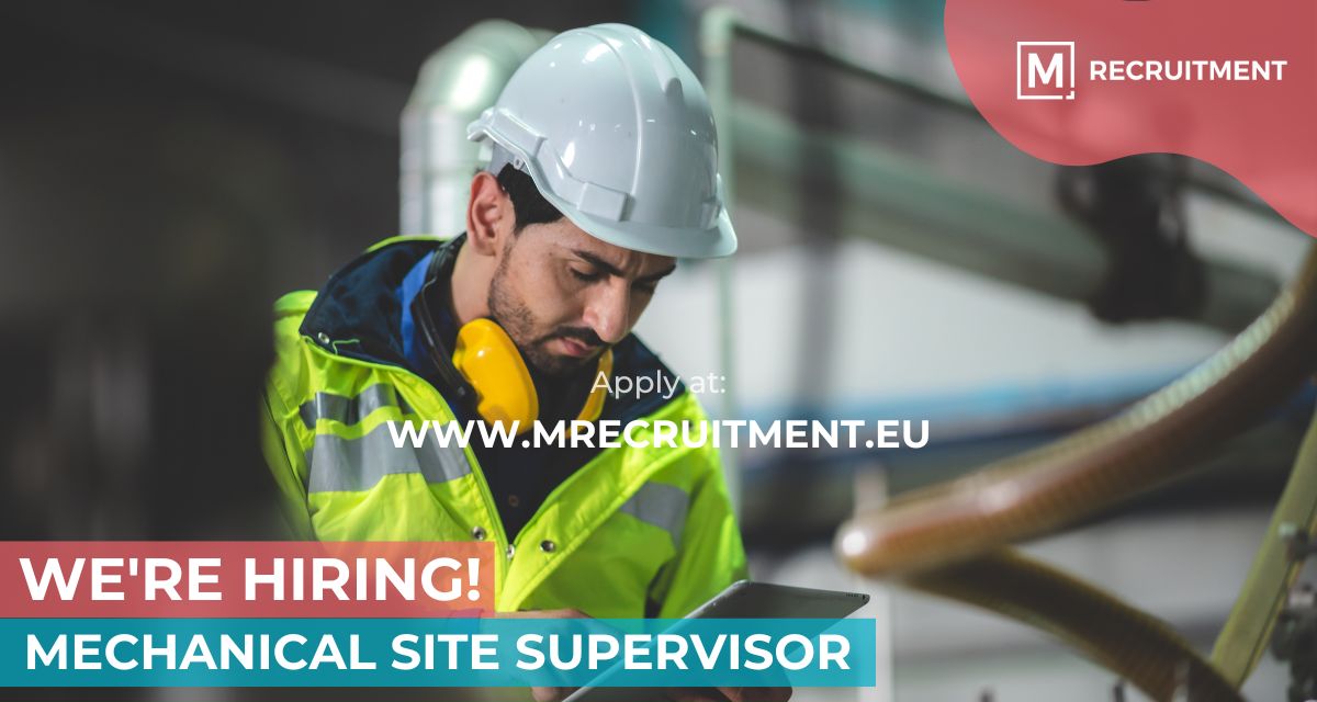 Image of a Mechanical Site Supervisor